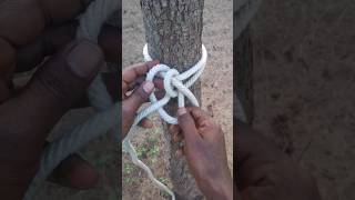 safe and strongest knot in the world shorts outdoors knots [upl. by Rube]