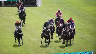 Today at 310pm Newton Abbot Racing Final 5 jumps [upl. by Gabor]