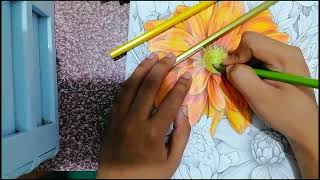 Flowers Coloring Book Fell asleep while editing this video [upl. by Arayt]