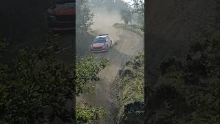 Skoda Fabia R2 Rally shorts [upl. by Harrus]