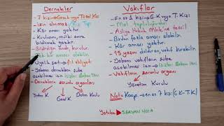 4  KPSS 2020 ANAYASA  DERNEKLER  VAKIFLAR VE KOOPERATİFLER [upl. by Tenaej431]