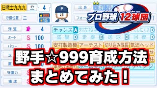 【パワプロ20242025】プロ野球12球団編野手☆999育成方法！立ち回り方を解説しました。 [upl. by Narual]