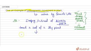 Give an example of seismonastic movement in plant [upl. by Levram]