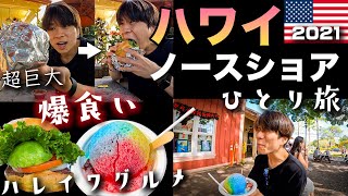 【ハワイ旅行Vlog】超巨大バーガー爆食い！！ノースショア最大の観光地ハレイワを１日散策してきた！！ 2021年11月 [upl. by Angelia]