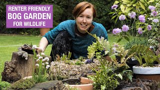 How to make a bog garden in an old tyre  Nature Break [upl. by Harwin]