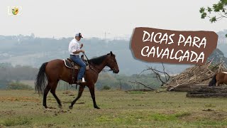 Treinar antes da cavalgada [upl. by Yeffej]