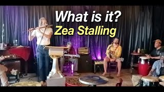 What is it  Zea Stalling [upl. by Arded]