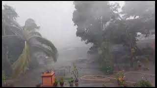 jamnagar rains 2023 youtybeshortvideo youtube [upl. by Alsi474]