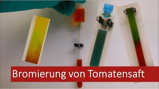 Bromierung von Tomatensaft 5 Gym [upl. by Ive974]