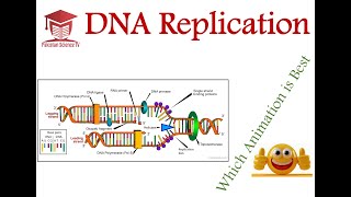 DNA Replication  Comparison of 03 Excellent Animations  Genetics [upl. by Hump]