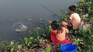 Fishing video  Brother amp Sister hook fishing in village  catching big catfishfishingvideo [upl. by Annert]