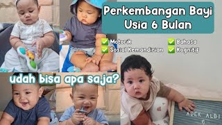 PERKEMBANGAN BAYI 6 BULAN I PERKEMBANGAN MOTORIK SOSIAL BAHASA KOGNITIF I MILESTONE BAYI [upl. by Susanne]