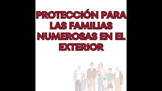 Protección para las familias numerosas en el exterior [upl. by Etrem]