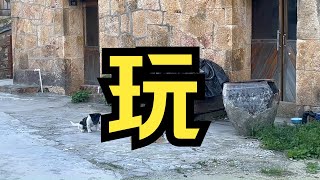 【温岭VLOG｜ La Madrague】去！海！边！准高三暑假gap day 夏日就应该与大海一起过 温岭｜台州 [upl. by Downes]