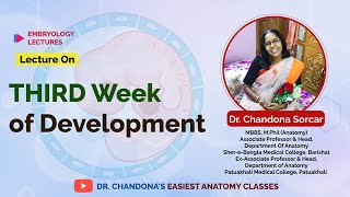 Lecture on 3rd Week of Development [upl. by Standush]