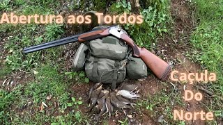 1012 Abertura aos Tordos em Vale de Prados Época 202324  Trush Hunting Season 202324  Zorzales [upl. by Nosreg]