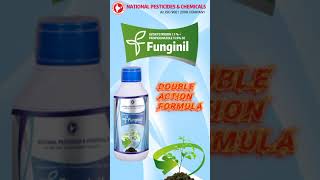 FUNGINIL  Azoxystrobin 71  Propiconazole 119 SE Fungicide [upl. by Dobbins]