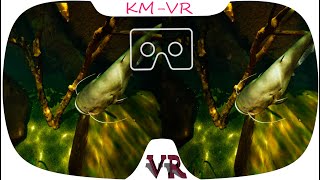 3D VR VIDEO 552 4K vr video [upl. by Oilejor]