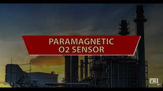 Paramagnetic O2 Sensor [upl. by Zetrom632]