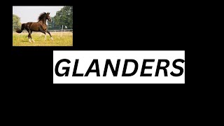 GLANDERS [upl. by Yreneh601]