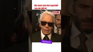 Karl Lagerfeld über seine Katze lagerfeld karllagerfeld fashion designer tiere starnews [upl. by Cohette]