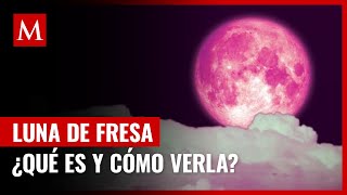 ¿Qué es la Luna de Fresa Así podrás ver la última Superluna del año [upl. by Norling287]