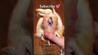 😮😲🙏😍turtlesavelife animals reptiles tortoise pets turtle new shortfeed [upl. by Arliene]