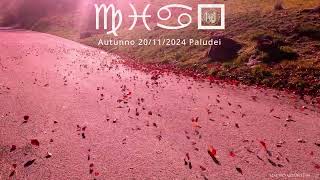 Autunno 20 11 2024 Paludei TN [upl. by Naghem]