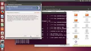 TeamSpeak 3 Client Linux Setup  Install [upl. by Mag276]