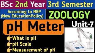 BSc 2nd Year 3rd Semester Zoology Unit 7pH MeterMeasurement of pHpH ScalepH Measurement in Hindi [upl. by Enamrej]