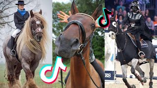 The Best HORSE  TikTok Compilation 50 [upl. by Rania]