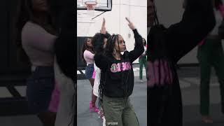 Alpha Kappa Alpha Sorority Inc Nasty Song Stroll [upl. by Helbonia]