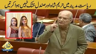 RiyasateMadina main Hareem Shah aur Sundal Khattak nhi hoti  Mushahid Ullah Khan speech in Senate [upl. by Marysa601]