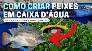 Como criar peixes em Caixa Dágua  Montando o Sistema COMPLETO Aula 1 [upl. by Ynnad]