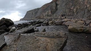 FOSSILHUNTING WITH FOSSILIFEROUS AT ROBIN HOODS BAY FOR RARE AMMONITES [upl. by Ennasil]