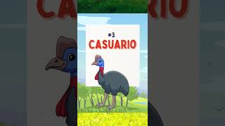 Las 8 Aves que NO vuelan🐧shorts short animalshorts shortvideo shortsfeed viral [upl. by Airdnala]