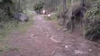 BMW 1200GS amp KLR 650 off road in Honduras ep 25 [upl. by Eemaj182]