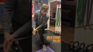 Unconventional AntiRotation Core Exercise — Pallof Press Variations golf physiotherapy shorts [upl. by Sello]