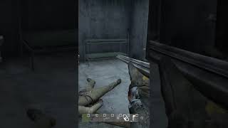 My Sneakiest Shot Yet dayz gaming sniper mosin [upl. by Artus]