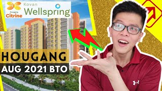 Hougang BTO Aug 2021 Review  Hougang Citrine amp Kovan Wellspring Official Analysis [upl. by Jemima]