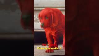 Clifford the Big Red Dog 🐕  Nice movie  love 🐕 dog do subscribe [upl. by Nelad]