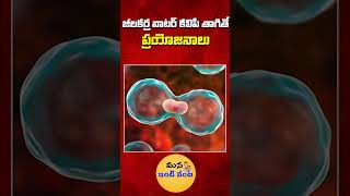 పరగడుపున జీలకర్ర వాటర్ కలిపి తాగితే ప్రయోజనాలు  Benefits Of Drinking With Cumin Water shorts [upl. by Keating]