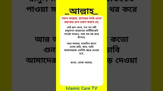 আল্লাহ  islam islamicvideo islamicshorts [upl. by Guadalupe]