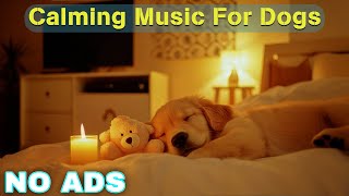 12 Hours of Dog Calming Music for Dogs 🎵 Dog Sleep Music 🐶 Separation Anxiety Relief Music ⭐No Ads [upl. by Bernt896]