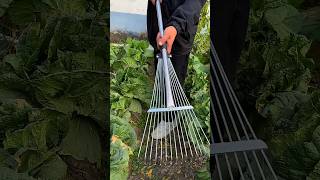 Stainless steel telescopic rake agricultural tools farmershelperhappy [upl. by Rahel]