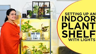 Setting up an Indoor Plant Shelf with Hidden Lights  Ikea Hyllis Shelf  Growing Plants Indoors [upl. by Asselem876]