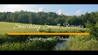 Searching Small Streams Part 3 [upl. by Atnuhs]