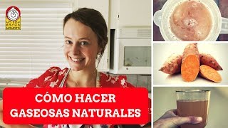 Cómo hacer GASEOSAS NATURALES [upl. by Pius]