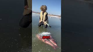 This boy found fish frozen in the ice [upl. by Onabru]