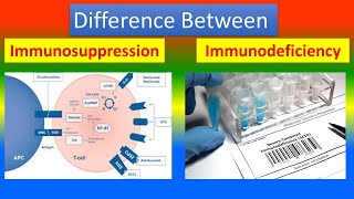 Difference between Immunosuppression and Immunodeficiency [upl. by Sil]